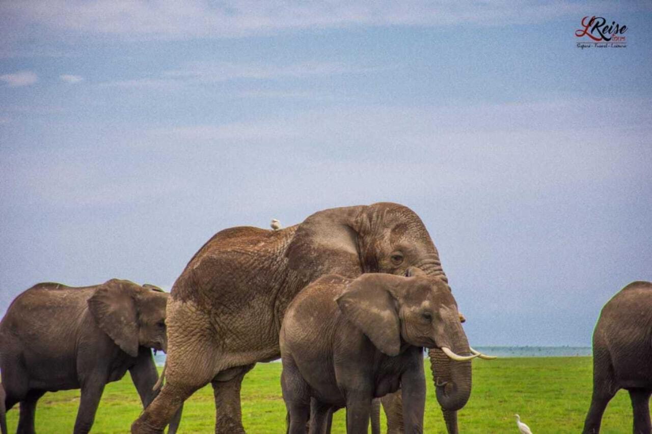 Amanya 2-Rooms Lioness Family Amboseli Exteriér fotografie